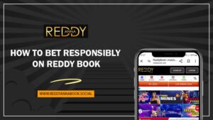 Responsible betting tips on Reddy Book platform